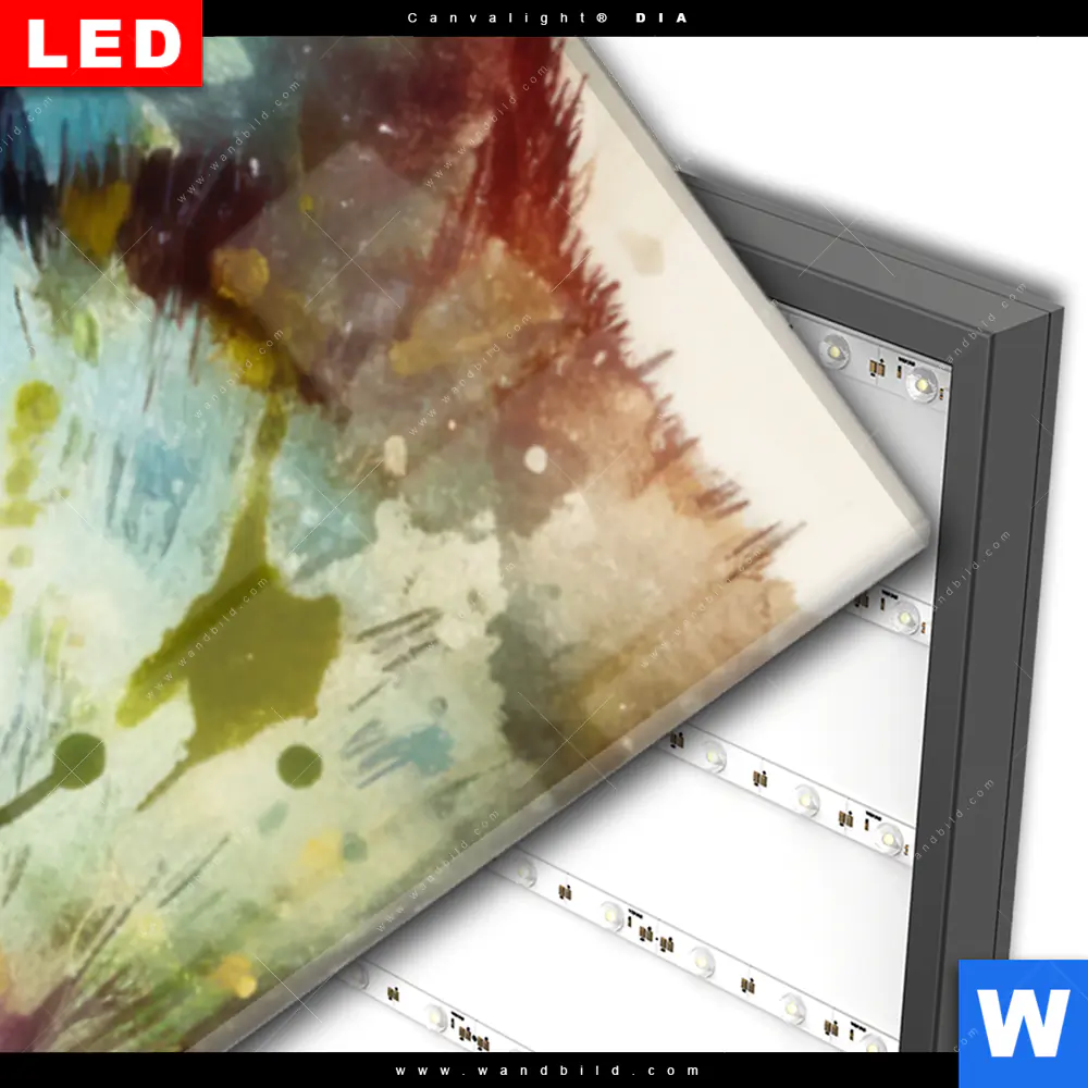 Wechselmotiv Acrylglas Canvalight® DIA | Wolf mit bunten Farbspritzern No. 2 | Schmal - Image 3