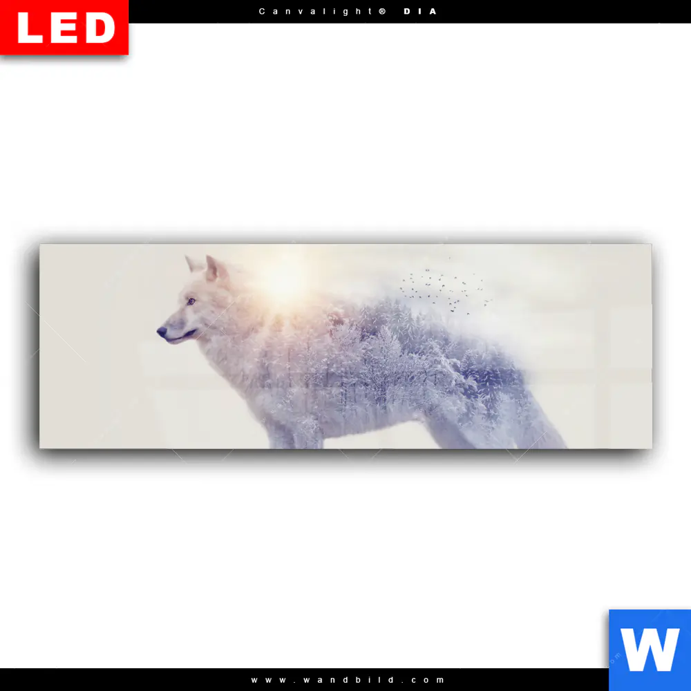 Wechselmotiv Acrylglas Canvalight® DIA | Wolf & Wald No.1 | Panorama - Image 2