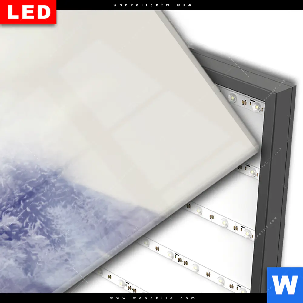 Wechselmotiv Acrylglas Canvalight® DIA | Wolf & Wald No.1 | Panorama - Image 3