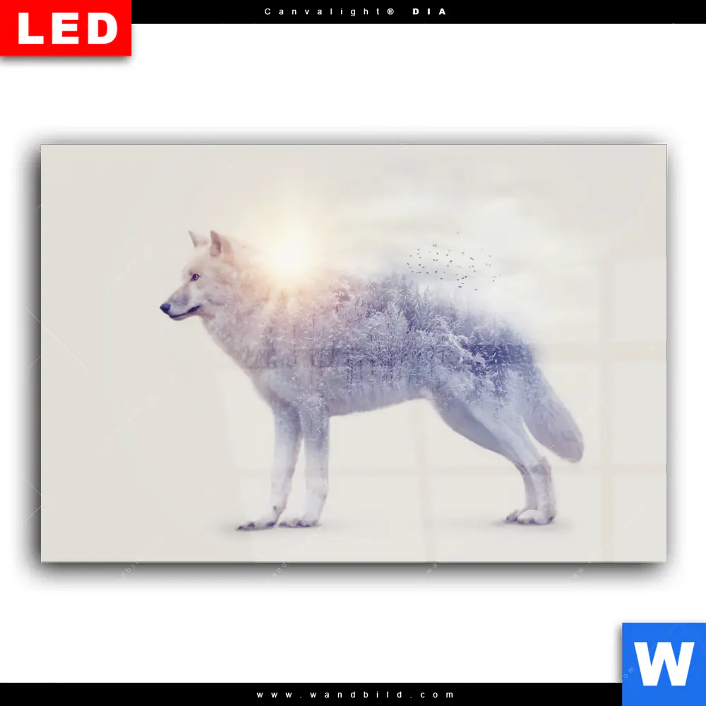 Wechselmotiv Acrylglas Canvalight® DIA | Wolf & Wald No.1 | Querformat - Image 2