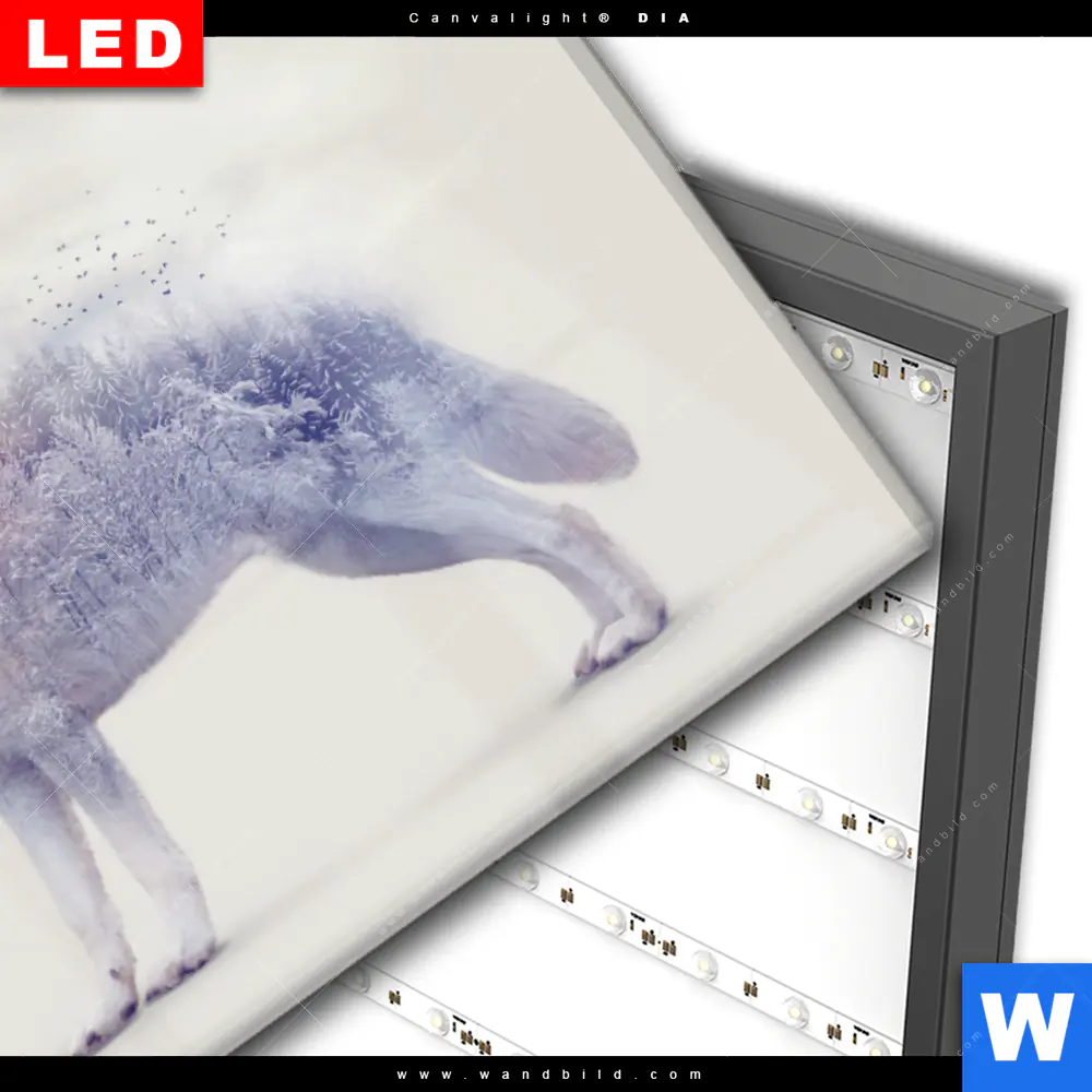 Wechselmotiv Acrylglas Canvalight® DIA | Wolf & Wald No.1 | Querformat - Image 3