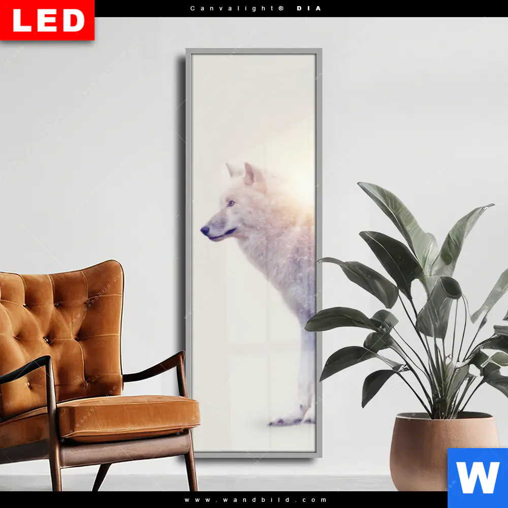 Wechselmotiv Acrylglas Canvalight® DIA | Wolf & Wald No.1 | Schmal
