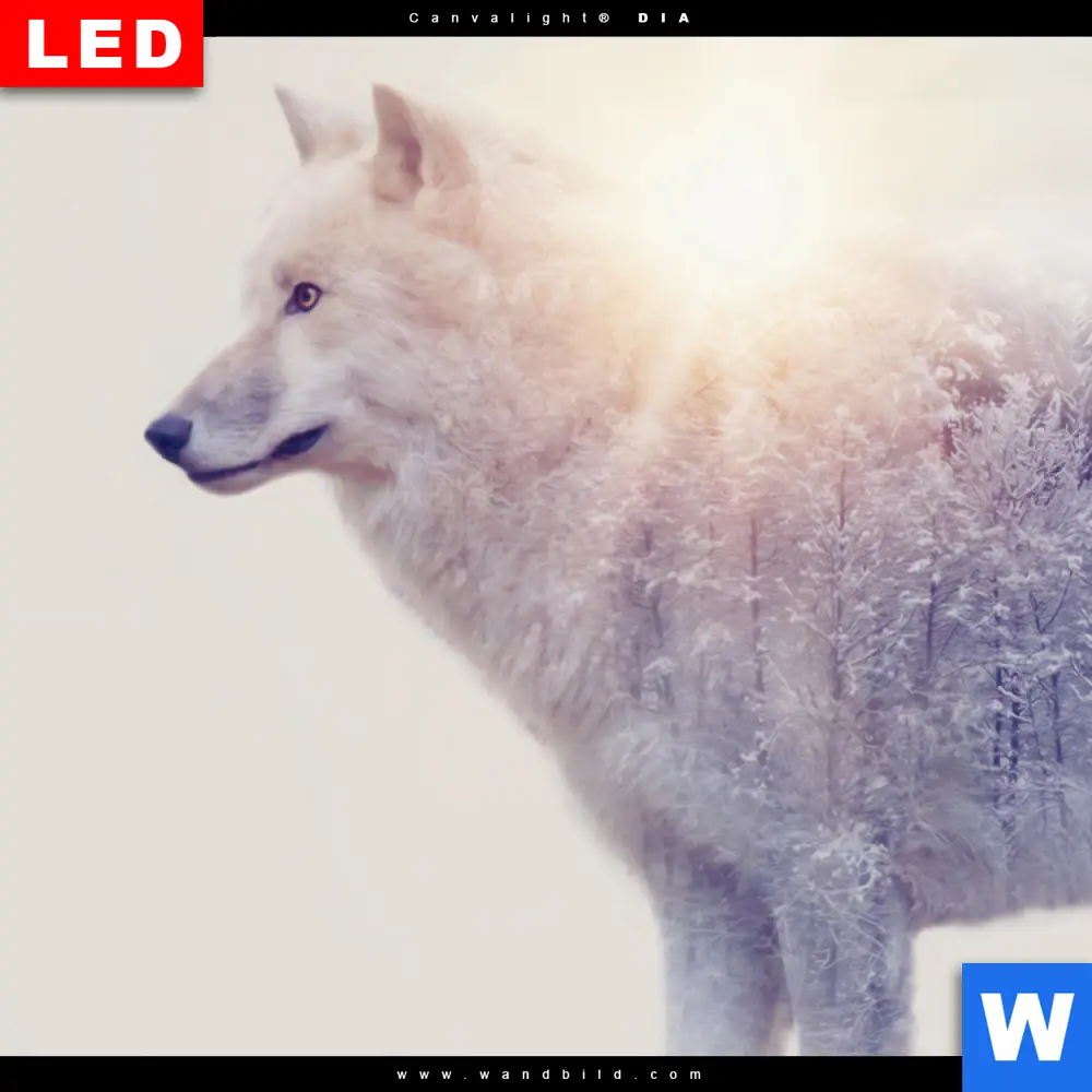 Wechselmotiv Acrylglas Canvalight® DIA | Wolf & Wald No.1 | Schmal - Image 4