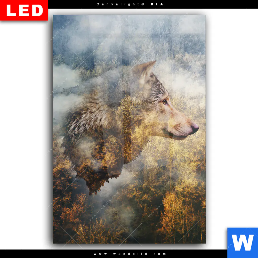 Wechselmotiv Acrylglas Canvalight® DIA | Wolf & Wald No.2 | Hochformat - Image 2