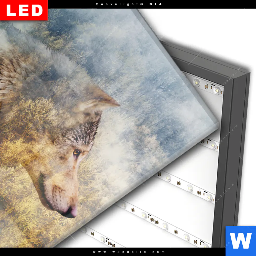 Wechselmotiv Acrylglas Canvalight® DIA | Wolf & Wald No.2 | Hochformat - Image 3