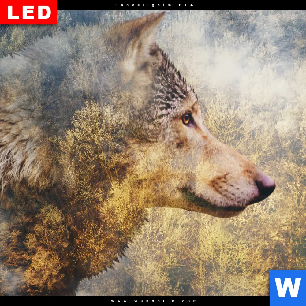 Wechselmotiv Acrylglas Canvalight® DIA | Wolf & Wald No.2 | Hochformat - Image 4