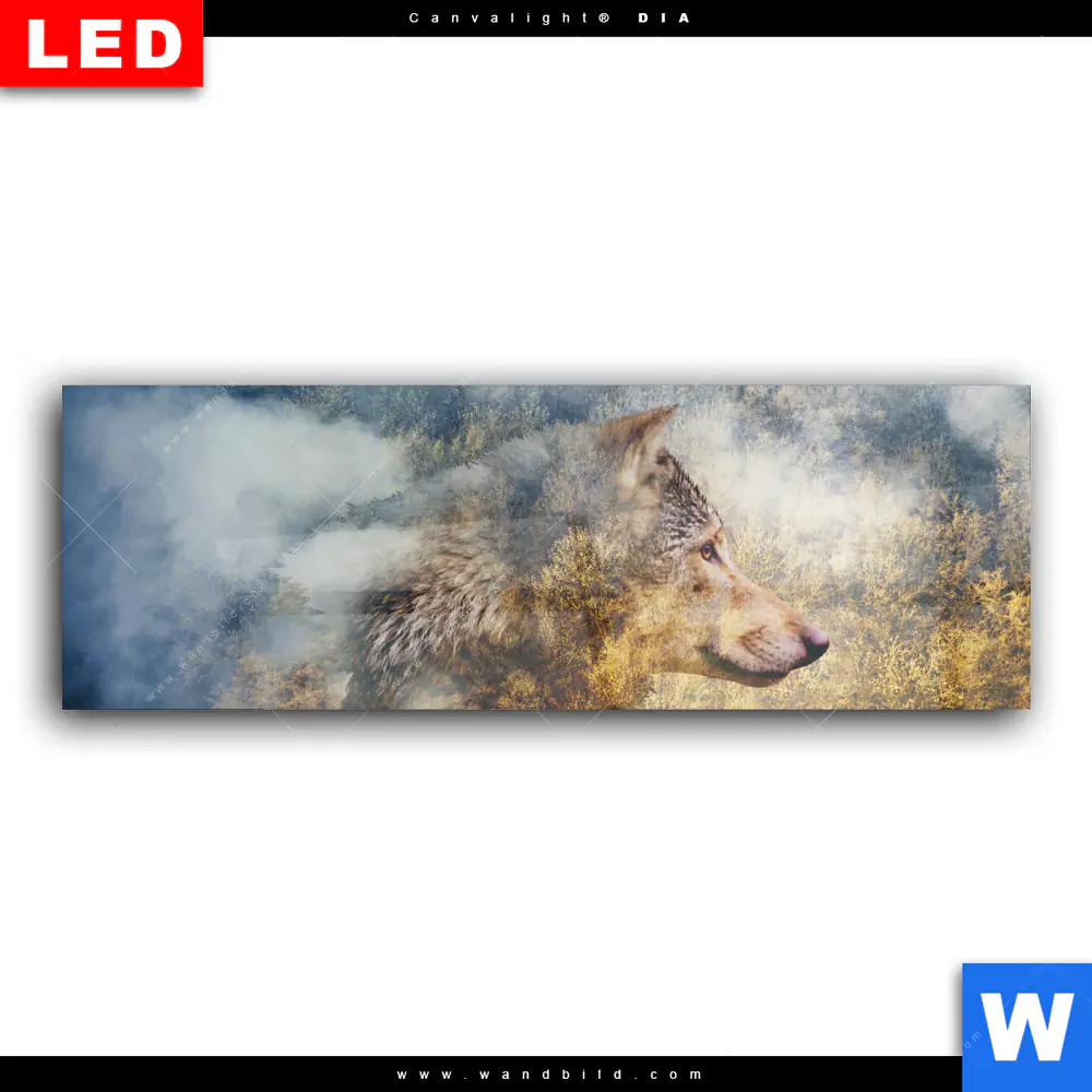 Wechselmotiv Acrylglas Canvalight® DIA | Wolf & Wald No.2 | Panorama - Image 2