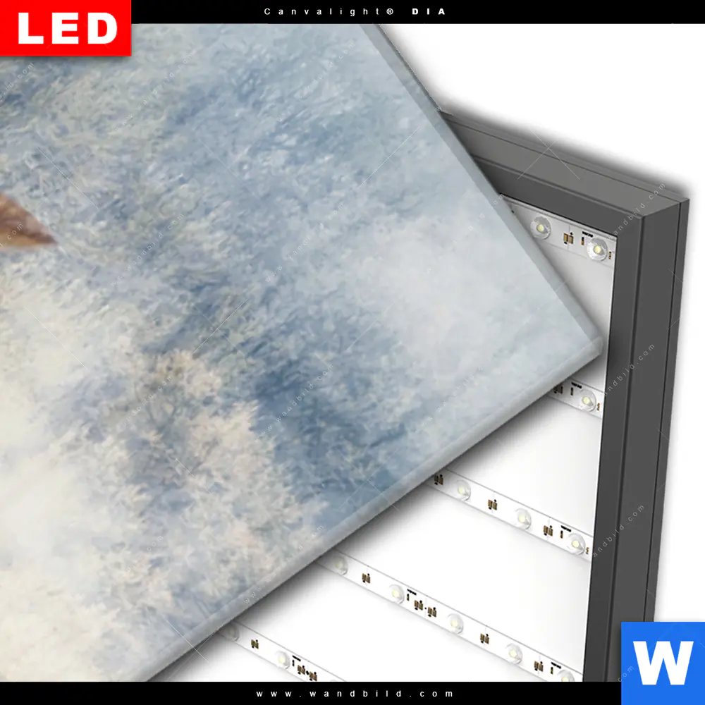 Wechselmotiv Acrylglas Canvalight® DIA | Wolf & Wald No.2 | Schmal - Image 3