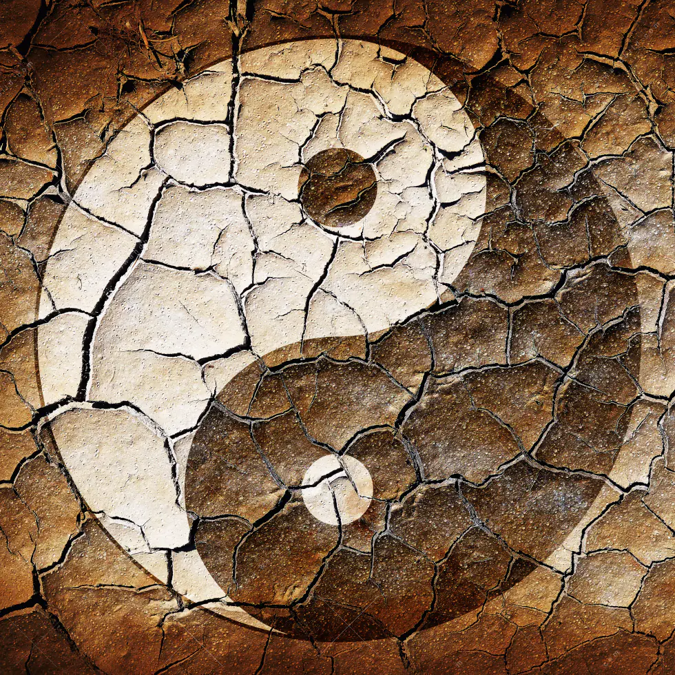 Wechselmotiv Acrylglas Canvalight® DIA | Yin Yang auf rissiger Erde | Schmal - Image 5