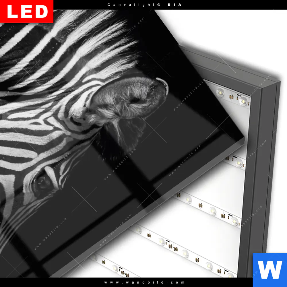 Wechselmotiv Acrylglas Canvalight® DIA | Zebra Schwarzweiß | Hochformat - Image 3