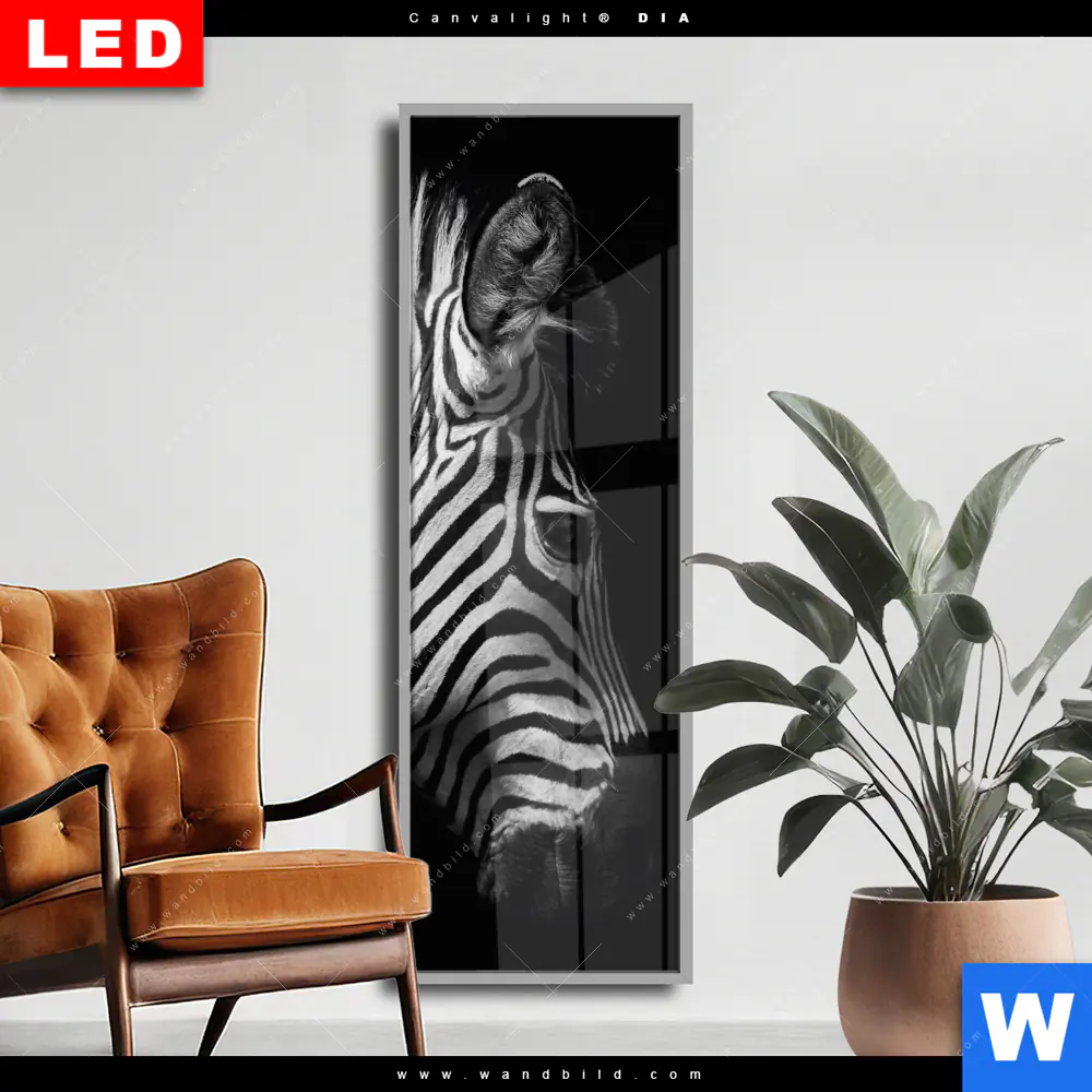 Wechselmotiv Acrylglas Canvalight® DIA | Zebra Schwarzweiß | Schmal