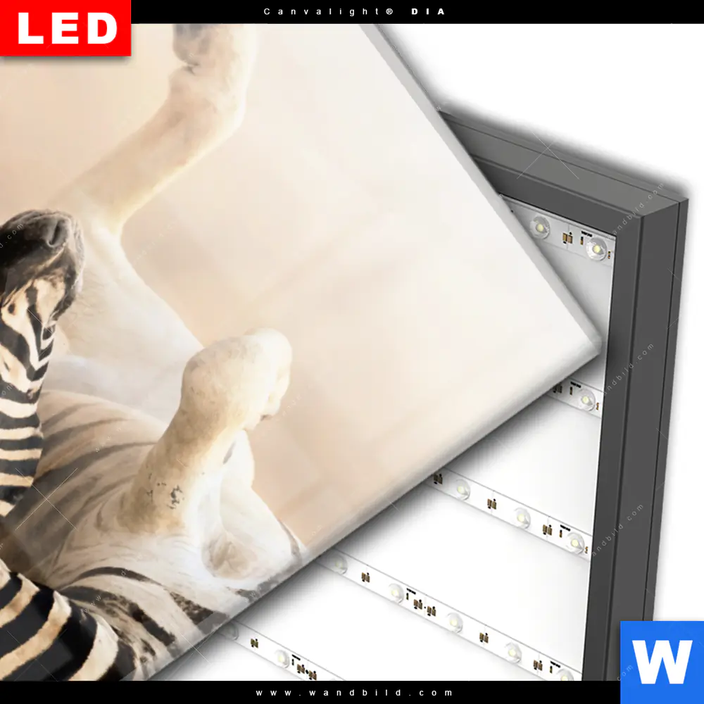 Wechselmotiv Acrylglas Canvalight® DIA | Zebra & Staub | Hochformat - Image 3