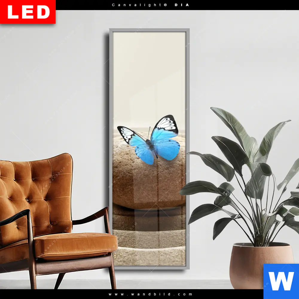 Wechselmotiv Acrylglas Canvalight® DIA | Zen Stein mit Schmetterling | Schmal