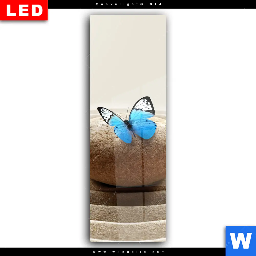 Wechselmotiv Acrylglas Canvalight® DIA | Zen Stein mit Schmetterling | Schmal - Image 2