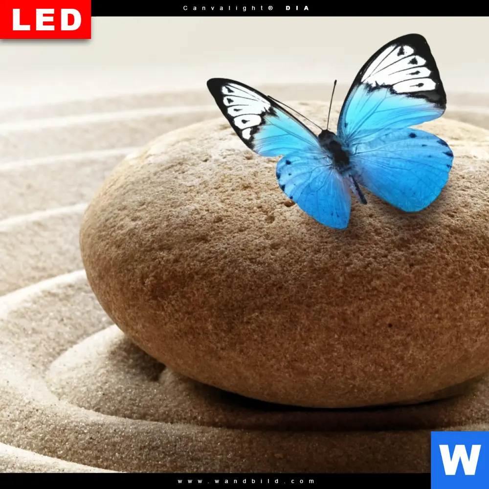 Wechselmotiv Acrylglas Canvalight® DIA | Zen Stein mit Schmetterling | Schmal - Image 4