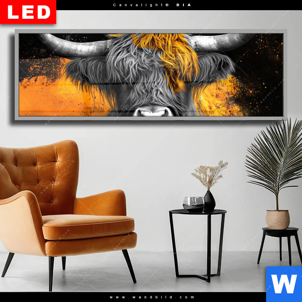 Wechselmotiv Acrylglas Canvalight® DIA | Zotteliges Hochland-Rind | Panorama