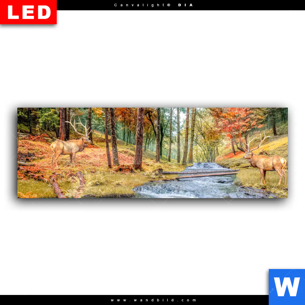 Wechselmotiv Acrylglas Canvalight® DIA | Zwei Hirsche am Fluss | Panorama - Image 2