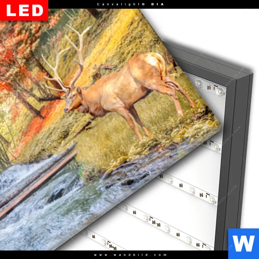 Wechselmotiv Acrylglas Canvalight® DIA | Zwei Hirsche am Fluss | Panorama - Image 3