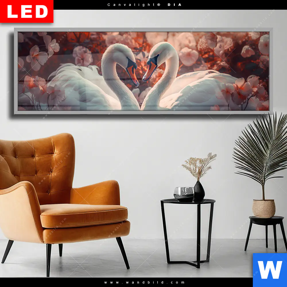 Wechselmotiv Acrylglas Canvalight® DIA | Zwei Schwäne im Wasser | Panorama