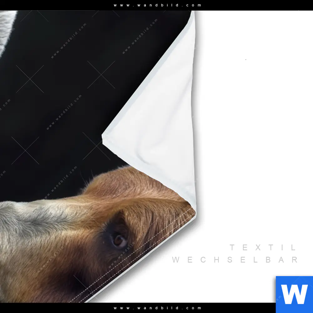 Wechselmotiv | Bären - Zweisamkeit | Hochformat - Image 3