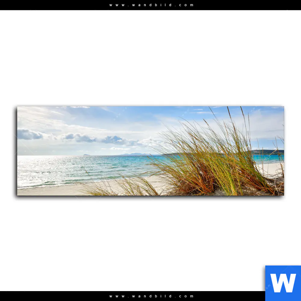 Wechselmotiv | Dünenlandschaft mit Meerblick | Panorama - Image 2