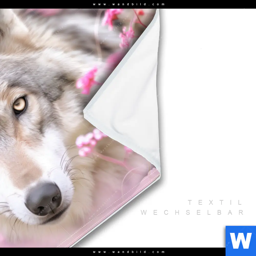 Wechselmotiv | Friedlicher Wolf | Querformat - Image 3