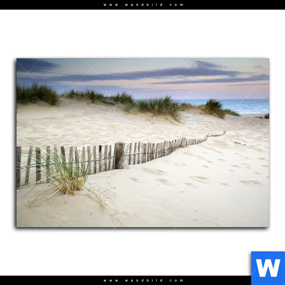 Wechselmotiv | Gräser am Ostseestrand | Querformat - Image 2