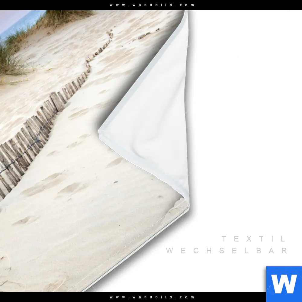 Wechselmotiv | Gräser am Ostseestrand | Querformat - Image 3
