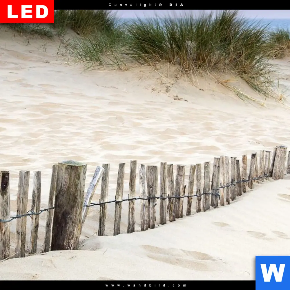 Wechselmotiv | Gräser am Ostseestrand | Querformat - Image 4