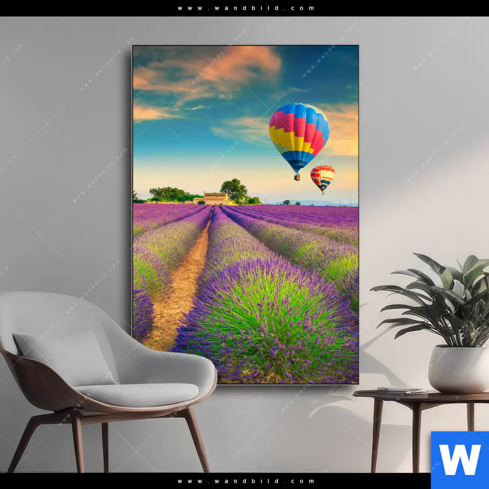 Wechselmotiv | Heißluftballons über violetten Feldern | Hochformat