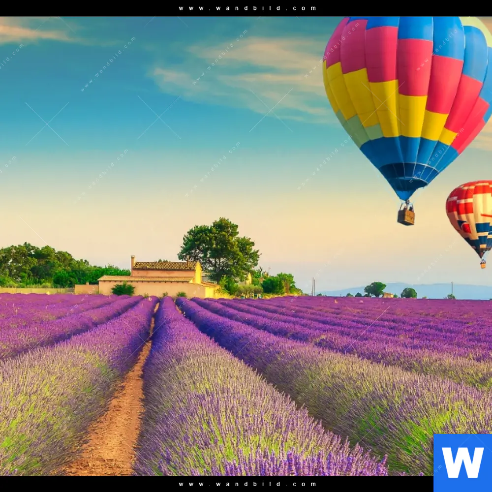 Wechselmotiv | Heißluftballons über violetten Feldern | Hochformat - Image 4