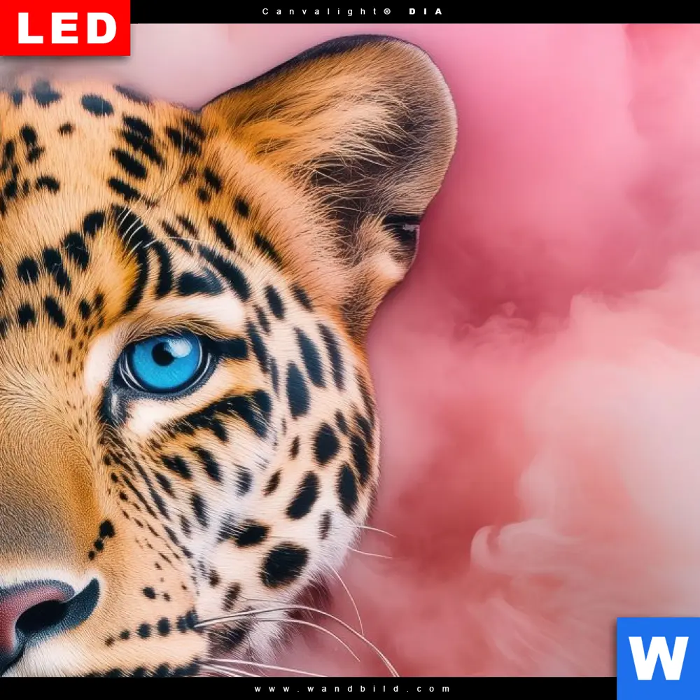 Wechselmotiv | Leopard im Farbnebel | Querformat - Image 4