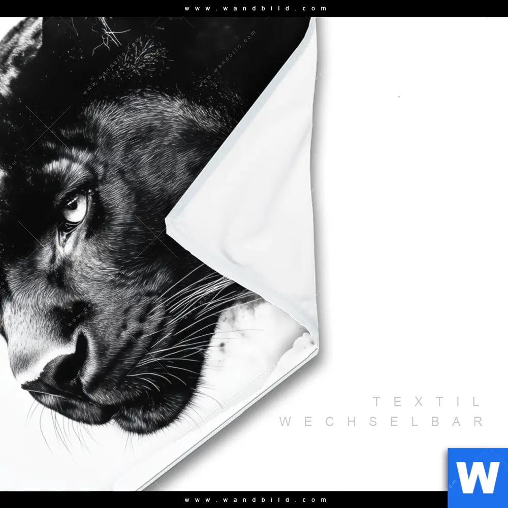 Wechselmotiv | Schwarzer Panther | Quadrat - Image 3