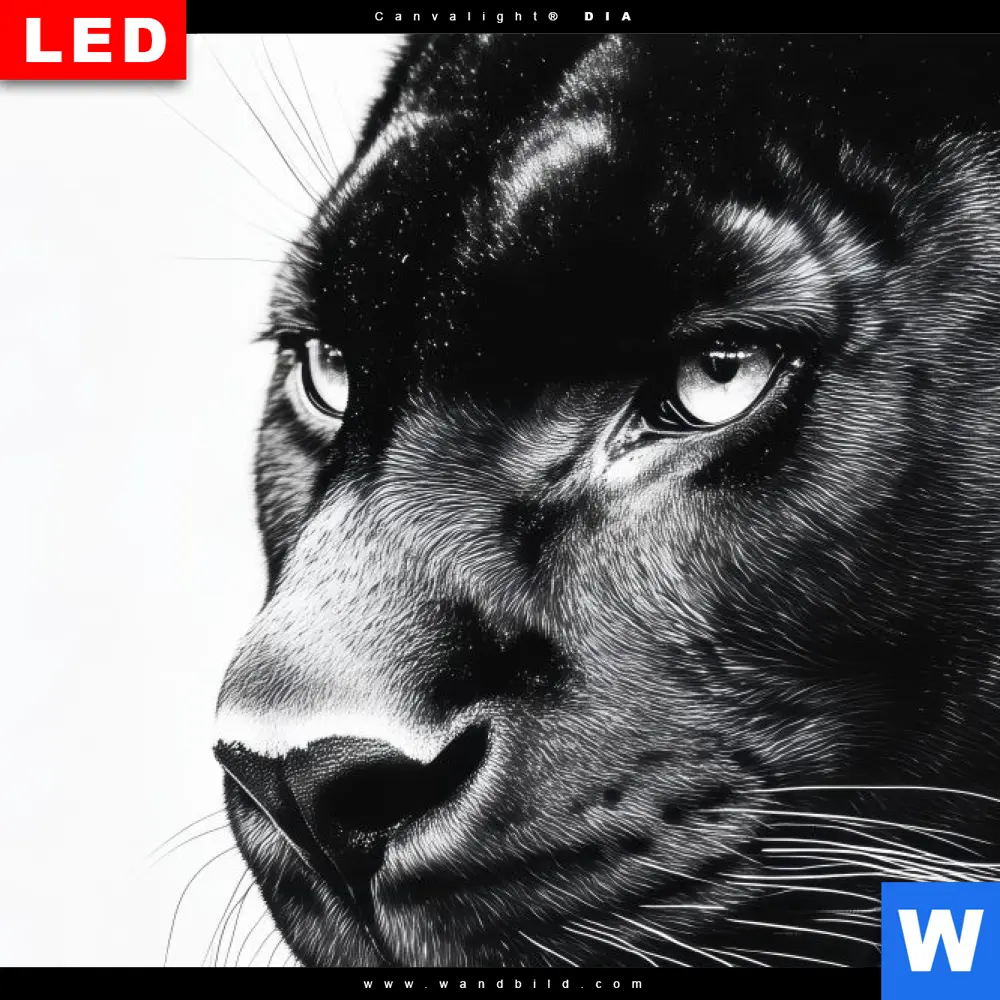 Wechselmotiv | Schwarzer Panther | Quadrat - Image 4