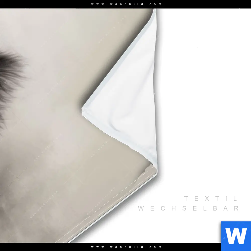 Wechselmotiv | Starker Bulle mit Blumen | Panorama - Image 3