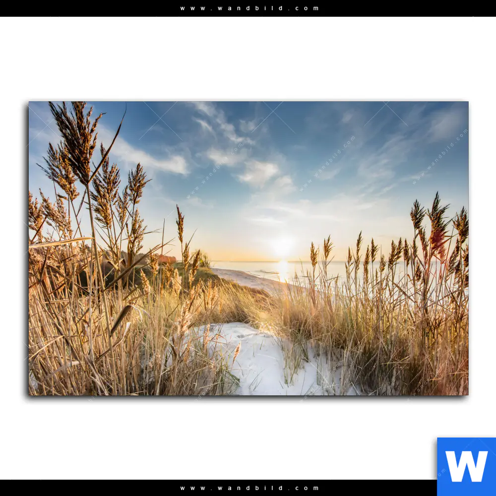 Wechselmotiv | Urlaub am Meer | Querformat - Image 2