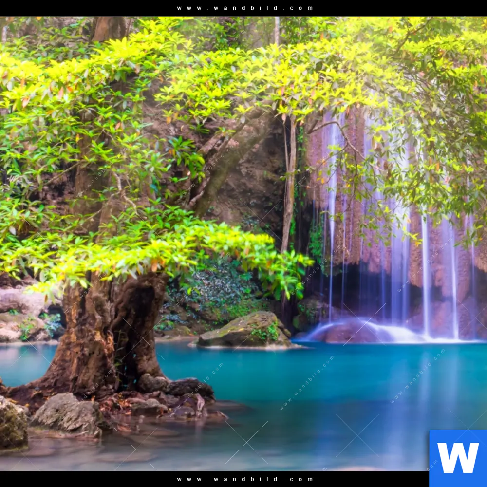 Wechselmotiv | Verborgener Wasserfall | Hochformat - Image 4