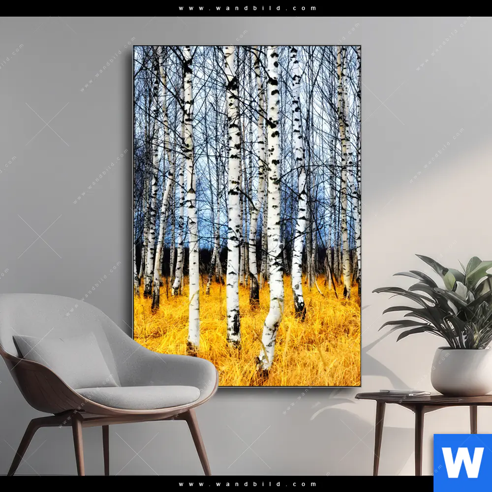 Wechselmotiv | Wald mit Birkenbäumen | Hochformat