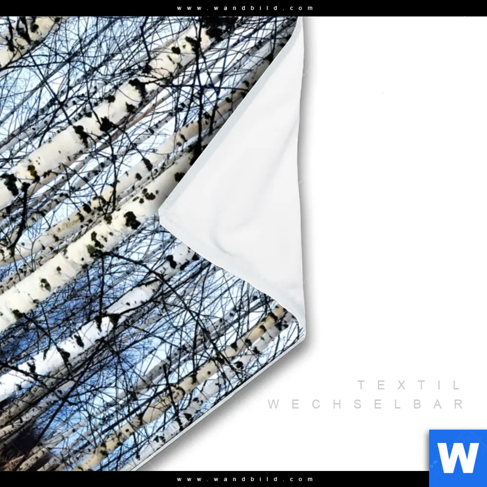 Wechselmotiv | Wald mit Birkenbäumen | Hochformat - Image 3