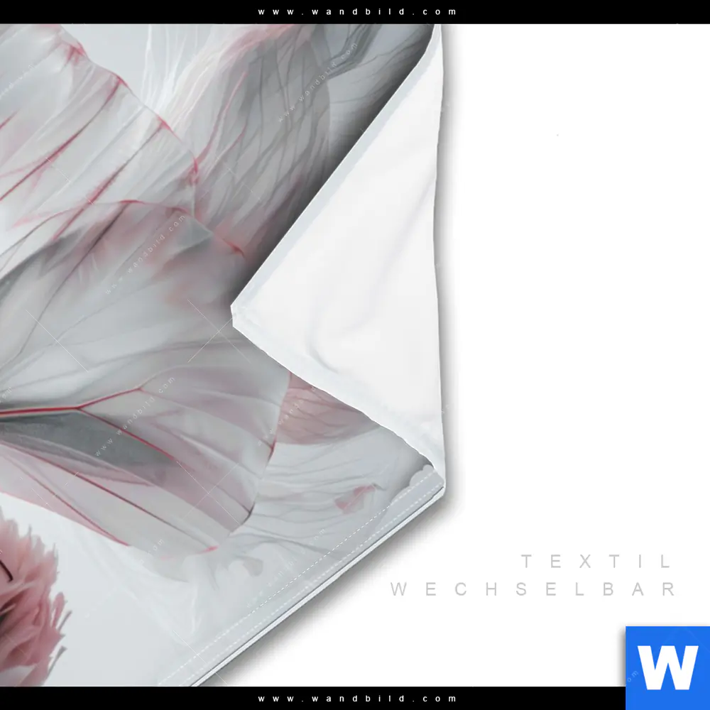 Wechselmotiv | Zarter Schmetterling | Querformat - Image 3